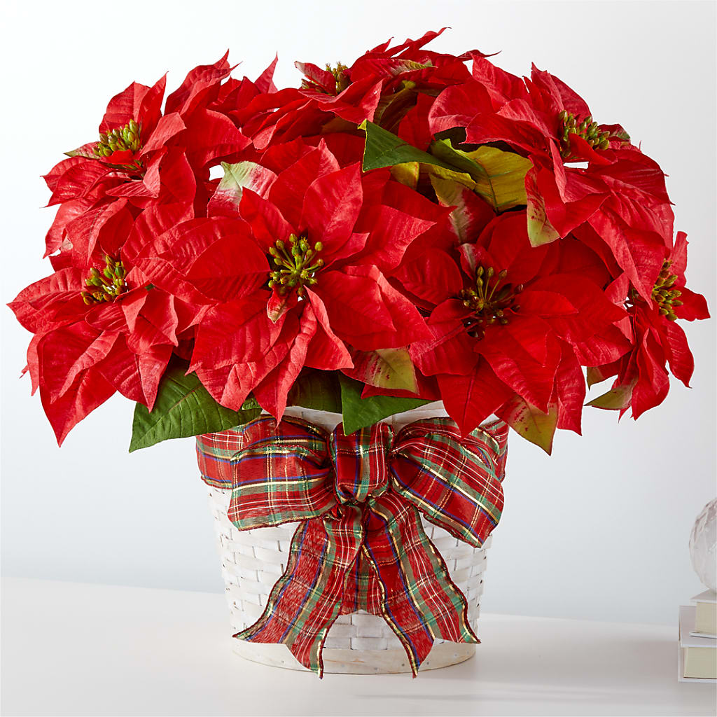 Happiest Holidays Poinsettia – Olive Branch Flowers, Chittenango NY