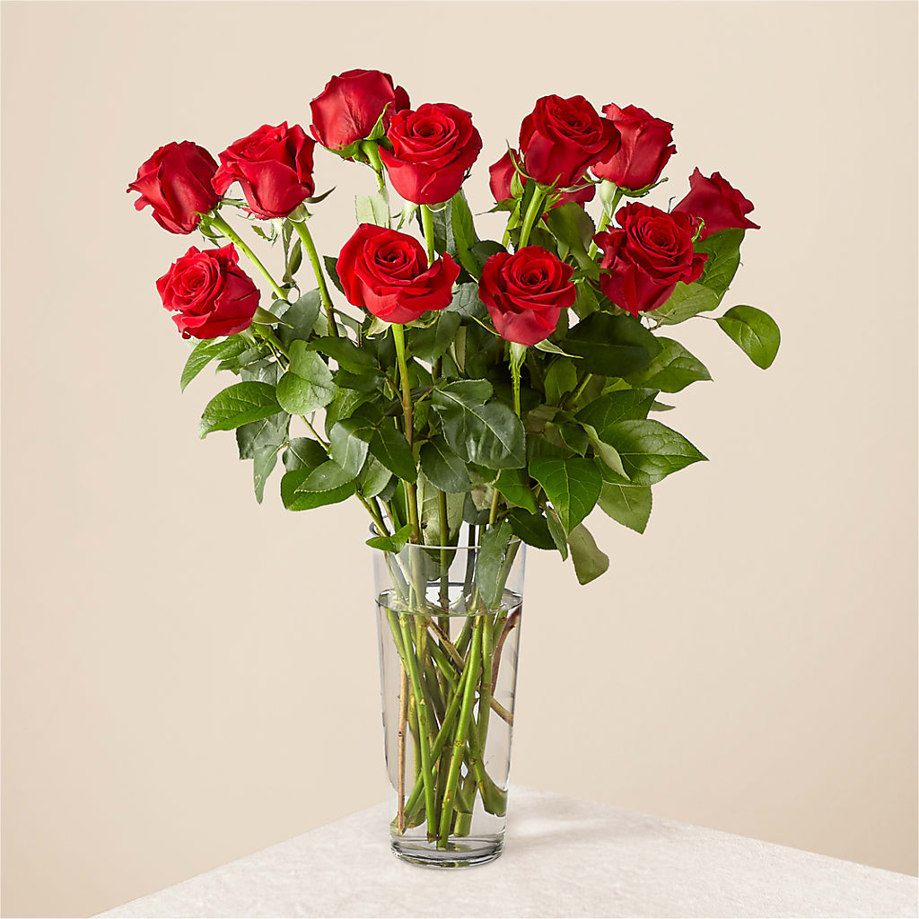 Long Stem Red Rose Bouquet – Olive Branch Flowers, Chittenango NY
