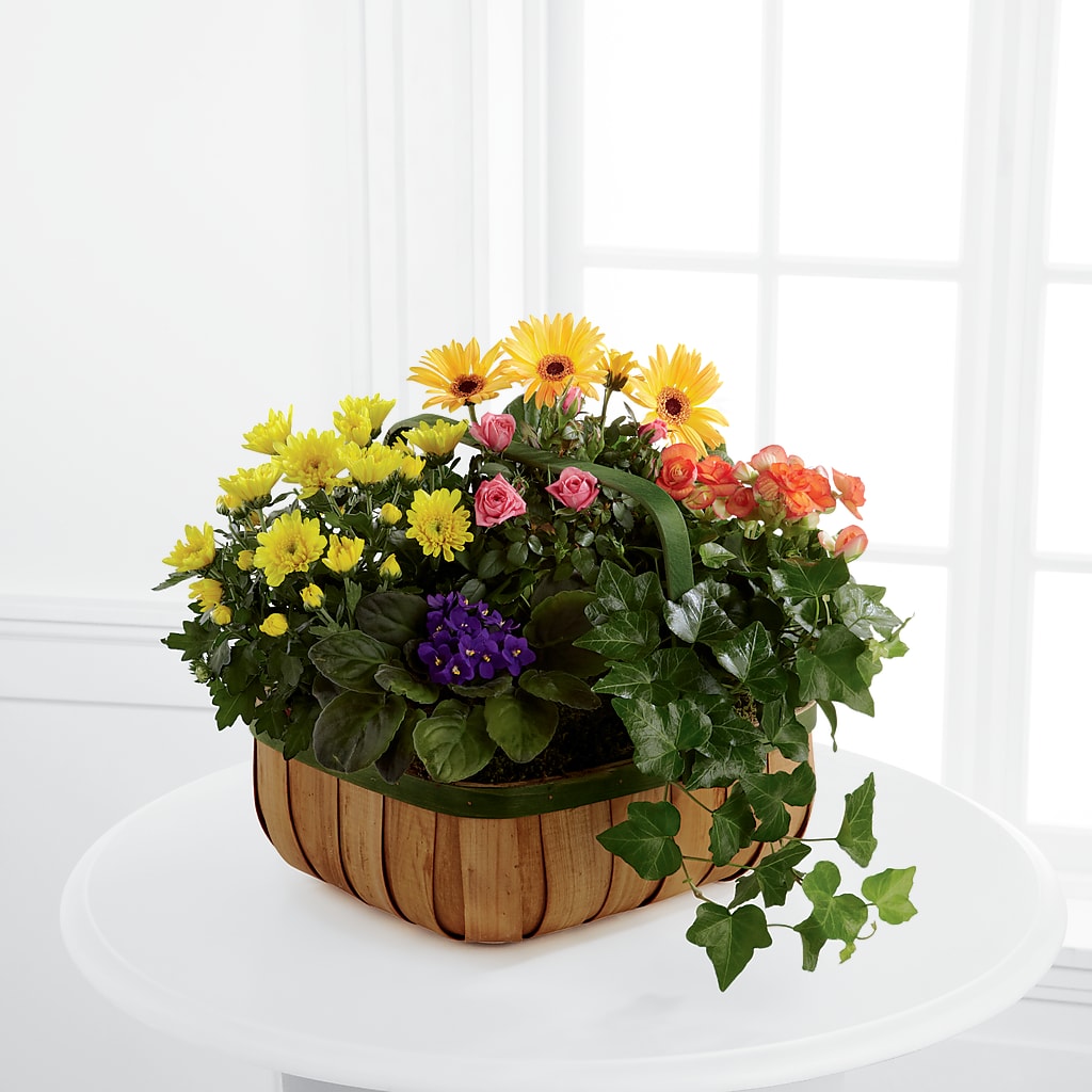 Gentle Blossoms Basket – Olive Branch Flowers, Chittenango NY