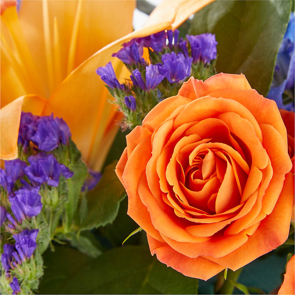 Radiant Citrus Box Bouquet – Olive Branch Flowers, Chittenango NY