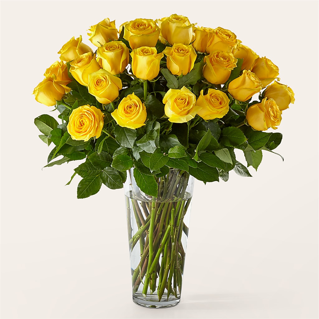 Long Stem Yellow Rose Bouquet – Olive Branch Flowers, Chittenango NY