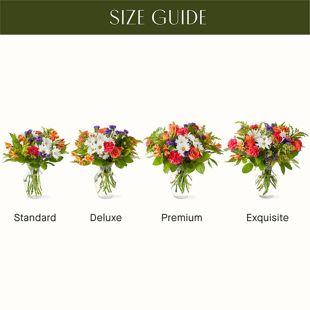 Oopsie Daisy Bouquet – Olive Branch Flowers, Chittenango NY