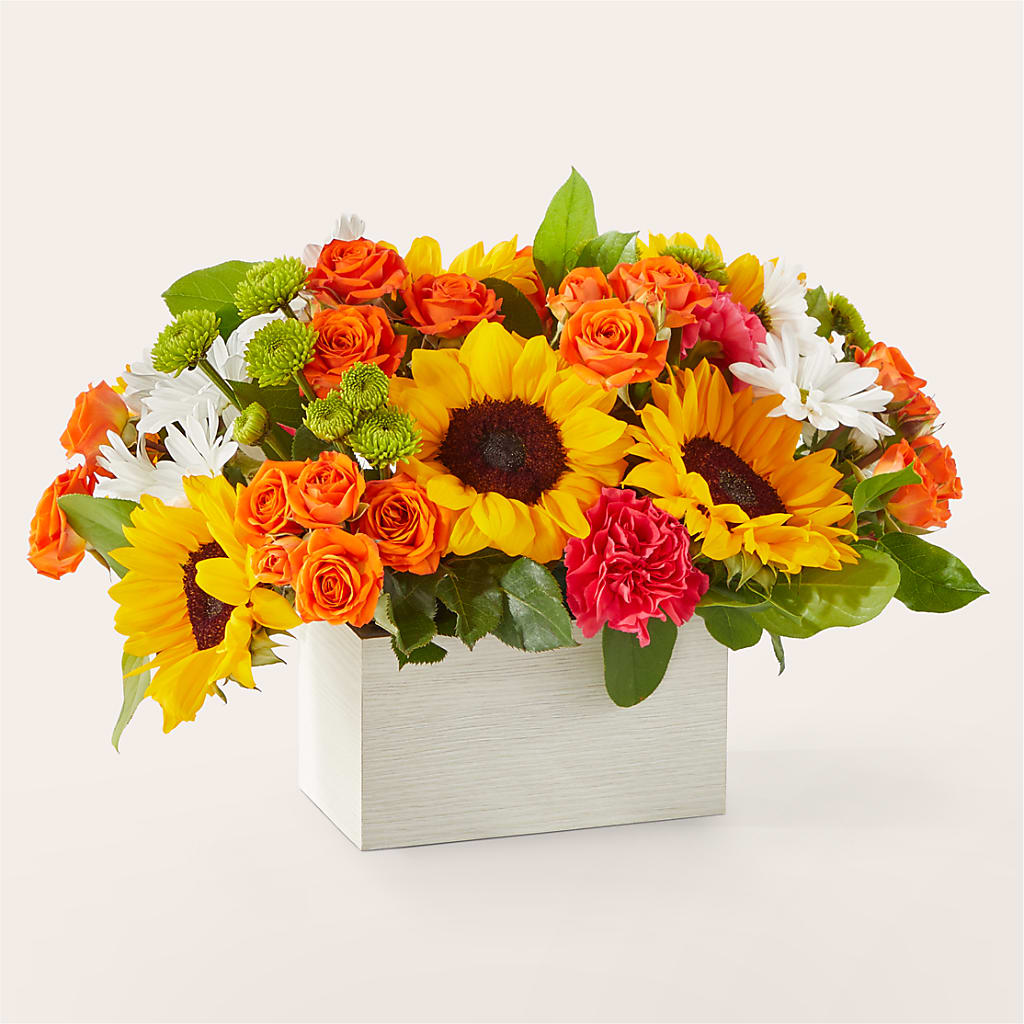 Sun-drenched Blooms Box Bouquet – Olive Branch Flowers, Chittenango NY
