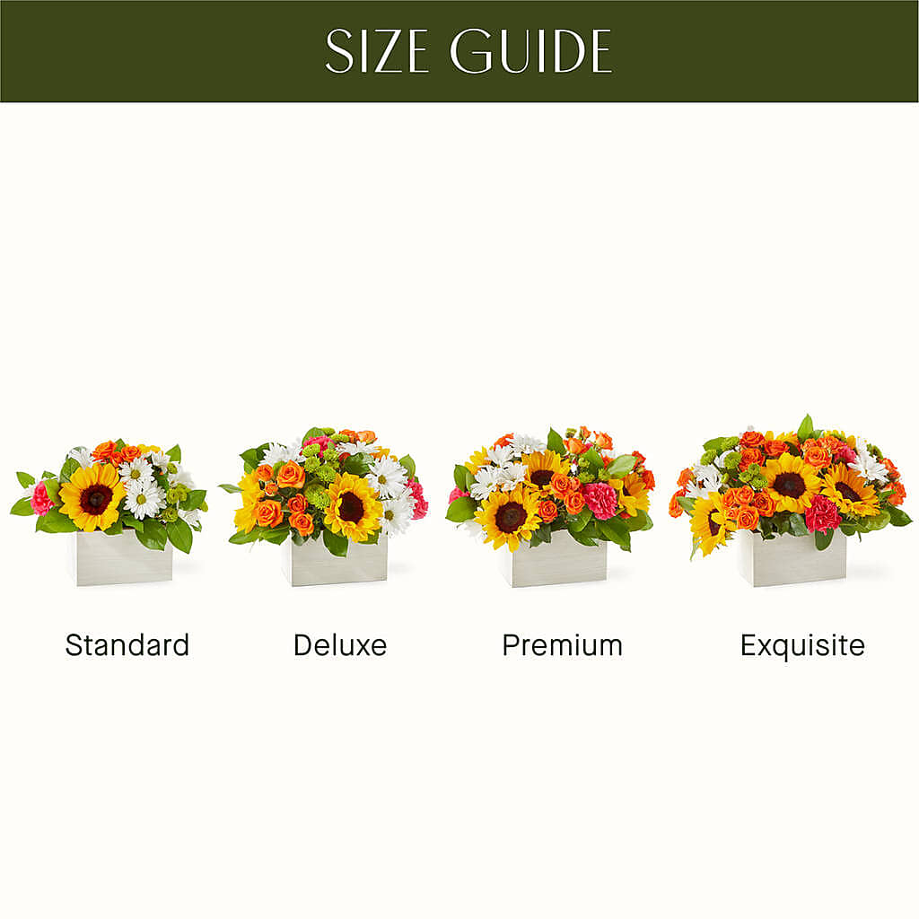 Sun-drenched Blooms Box Bouquet – Olive Branch Flowers, Chittenango NY