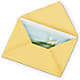 Greeting Card – Olive Branch Flowers, Chittenango NY