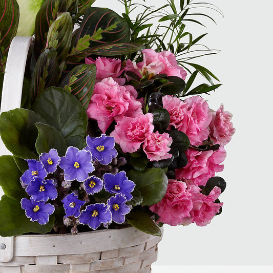 Peaceful Garden Planter – Olive Branch Flowers, Chittenango NY