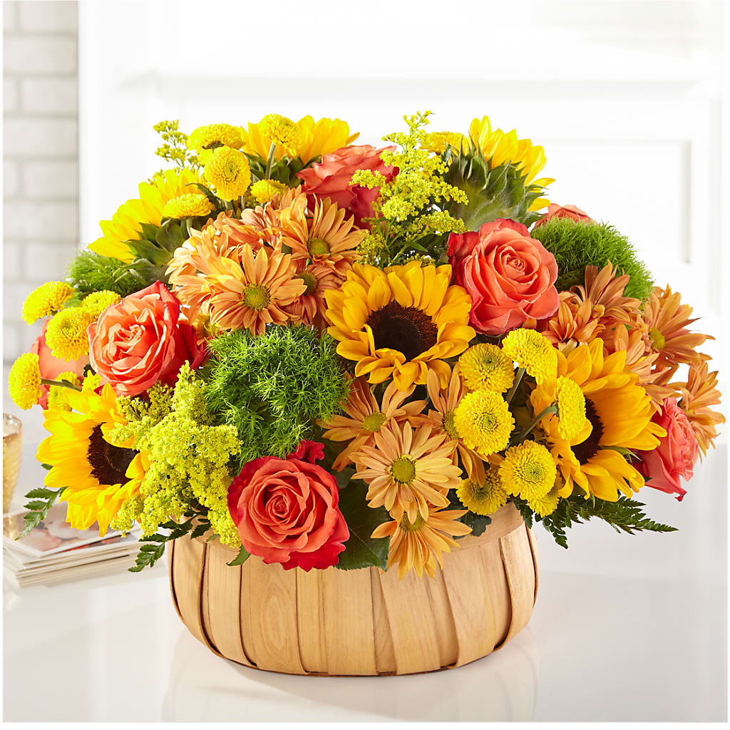 Harvest Sunflower Basket – Olive Branch Flowers, Chittenango NY