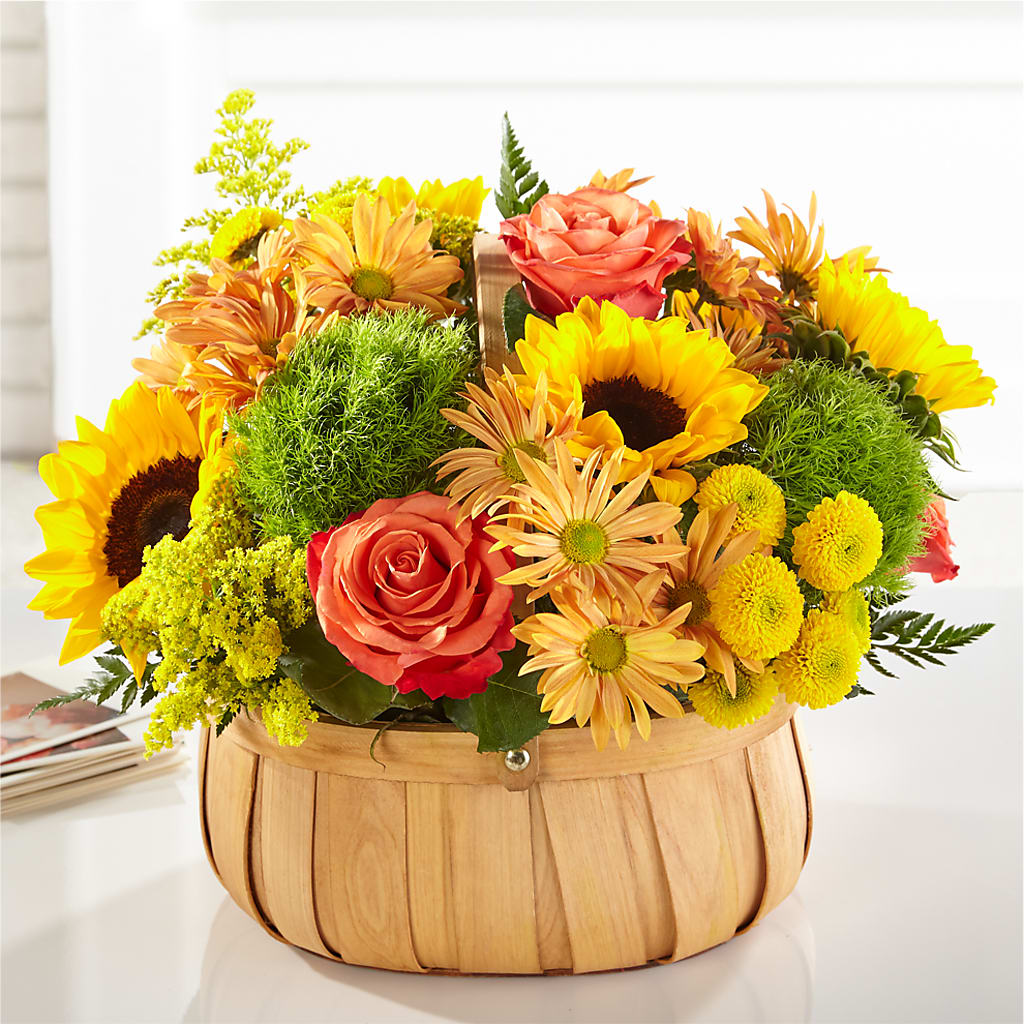 Harvest Sunflower Basket – Olive Branch Flowers, Chittenango NY