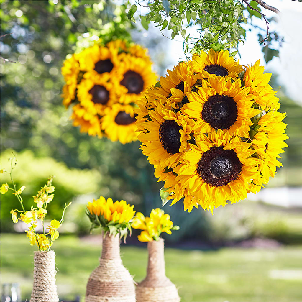 Sublime Garden Hanging Arrangement – Olive Branch Flowers, Chittenango NY