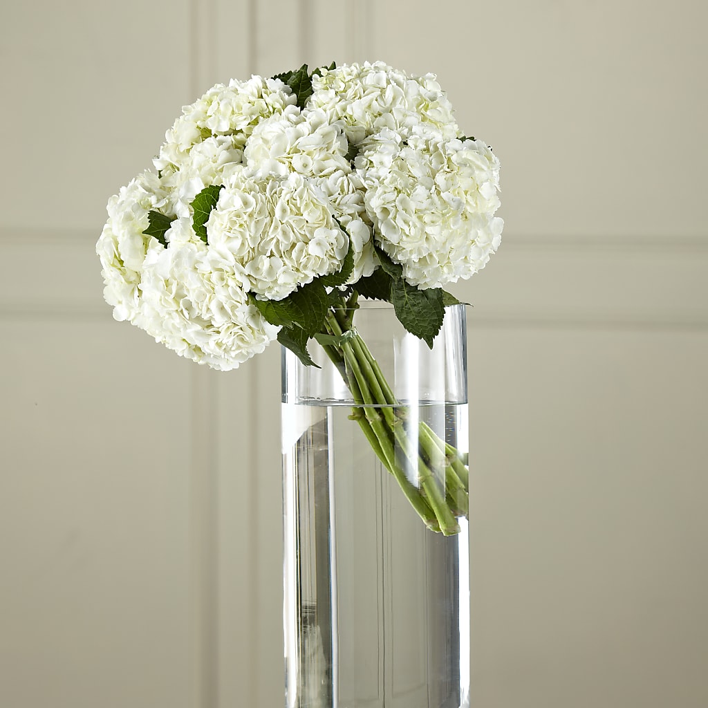 White Hydrangea Hand-Tied Bouquet – Olive Branch Flowers, Chittenango NY