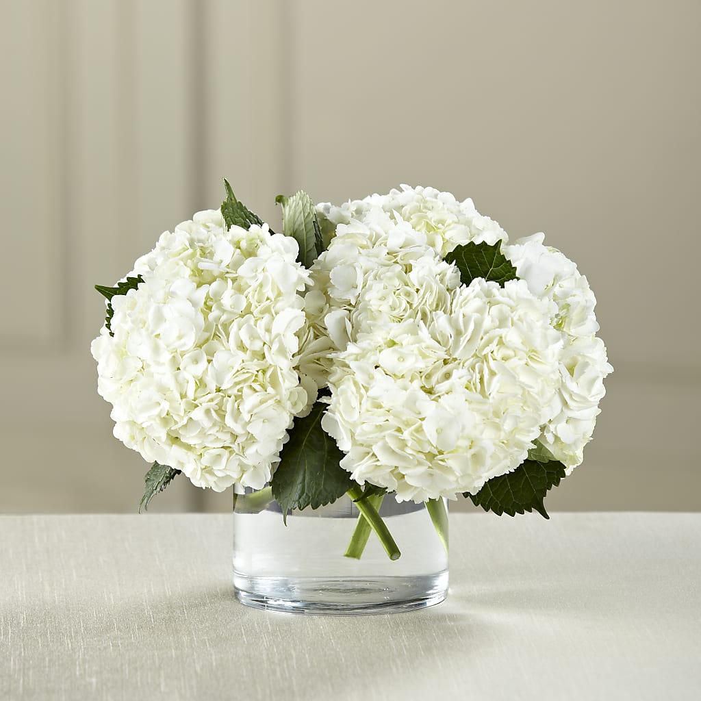 White Hydrangea Bouquet – Olive Branch Flowers, Chittenango NY