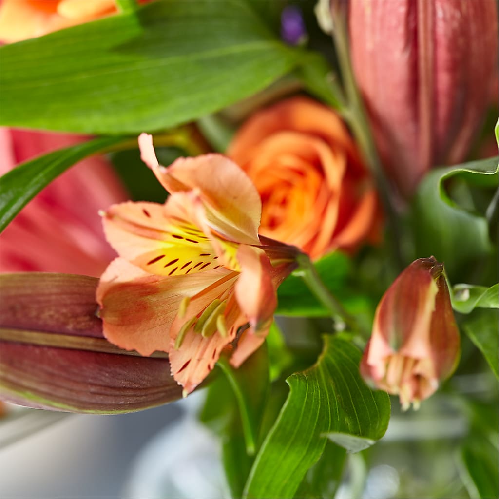 Bold & Bright – A Florist Original –  Olive Branch Flowers, Chittenango NY