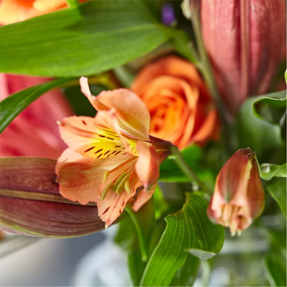 Bold & Bright – A Florist Original –  Olive Branch Flowers, Chittenango NY
