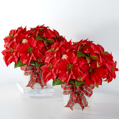 Happiest Holidays Poinsettia Bundle –  Olive Branch Flowers, Chittenango NY