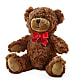 Adorable Plush Bear –  Olive Branch Flowers, Chittenango NY