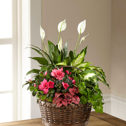 Dream in Pink Dishgarden –  Olive Branch Flowers, Chittenango NY