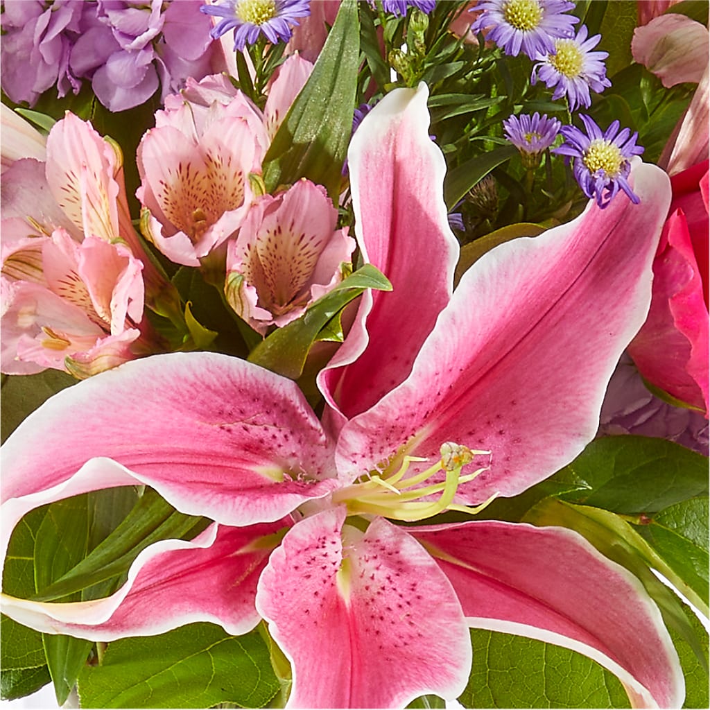Written in the Stars Bouquet –  Olive Branch Flowers, Chittenango NY