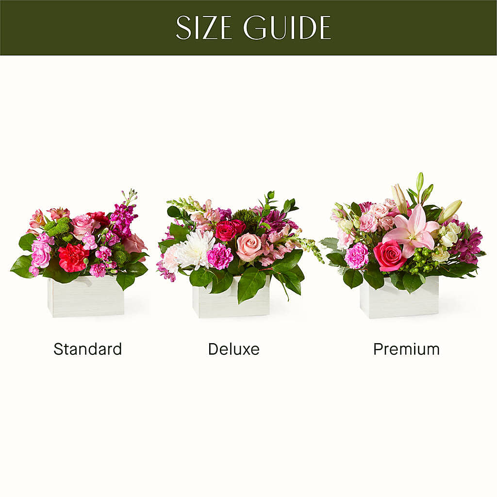 Sweetberry Box – A Florist Original –  Olive Branch Flowers, Chittenango NY
