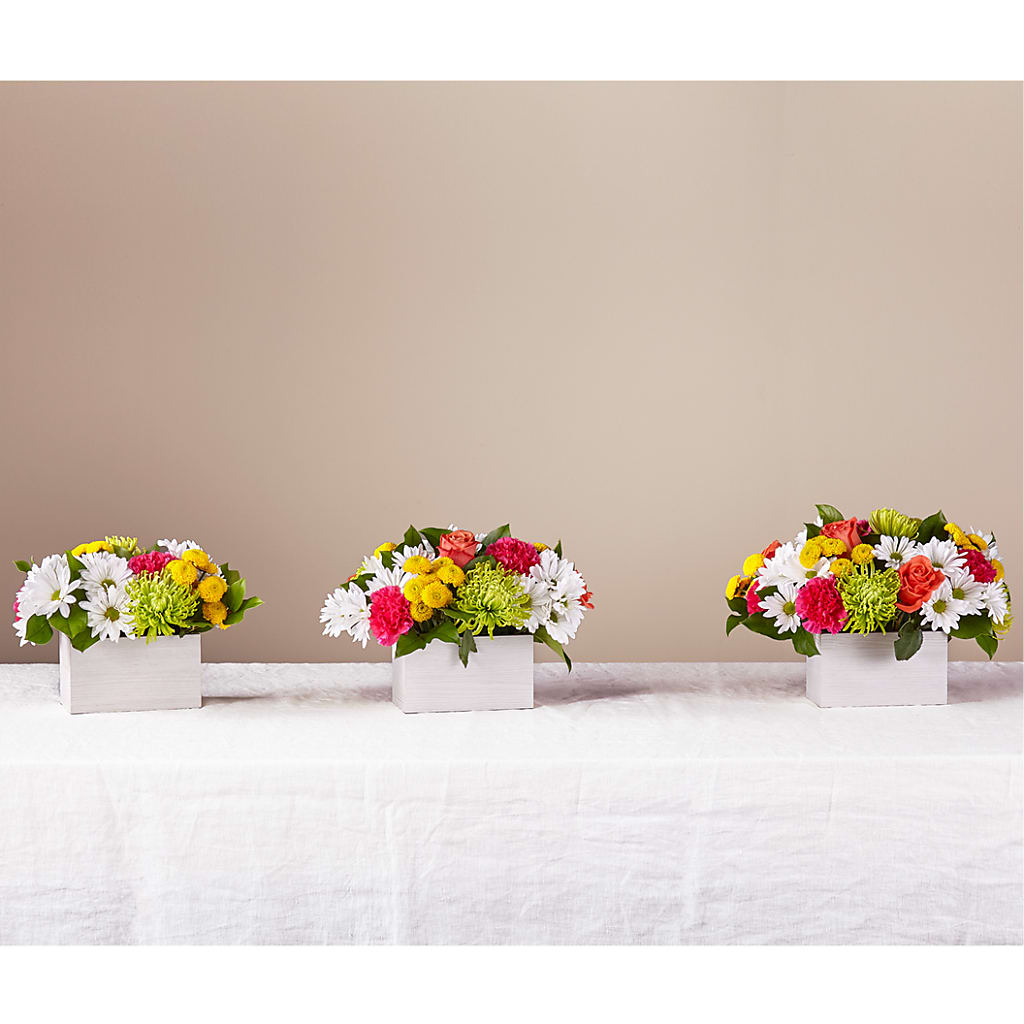 Sorbet Bouquet –  Olive Branch Flowers, Chittenango NY