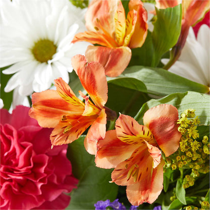 Oopsie Daisy Box Bouquet –  Olive Branch Flowers, Chittenango NY