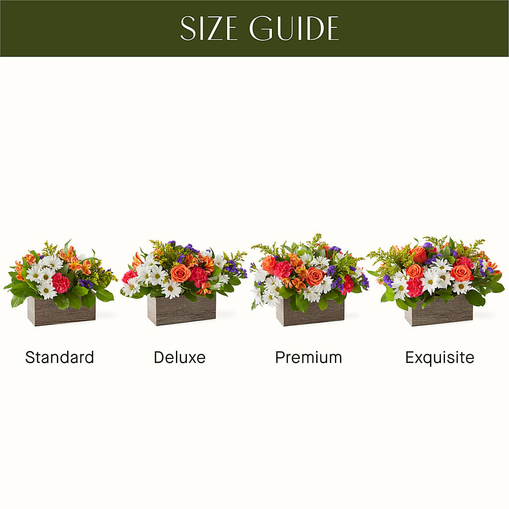Oopsie Daisy Box Bouquet –  Olive Branch Flowers, Chittenango NY