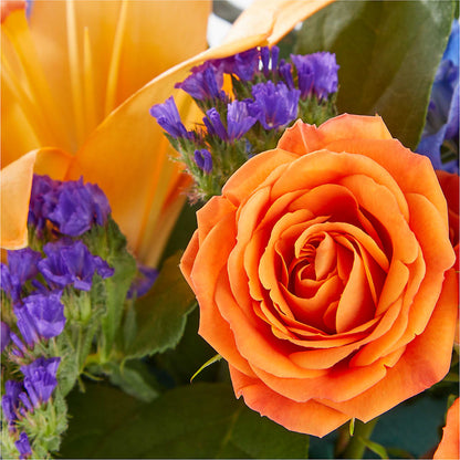 Radiant Citrus Box Bouquet –  Olive Branch Flowers, Chittenango NY