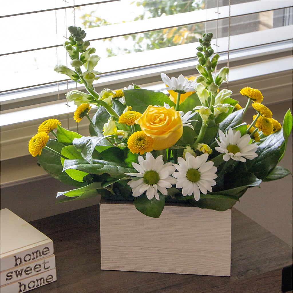 Sun Salutation Box Bouquet –  Olive Branch Flowers, Chittenango NY