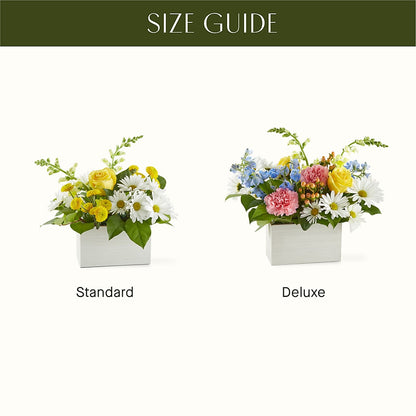 Sun Salutation Box Bouquet –  Olive Branch Flowers, Chittenango NY