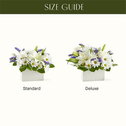 Beyond Blue Box Bouquet –  Olive Branch Flowers, Chittenango NY