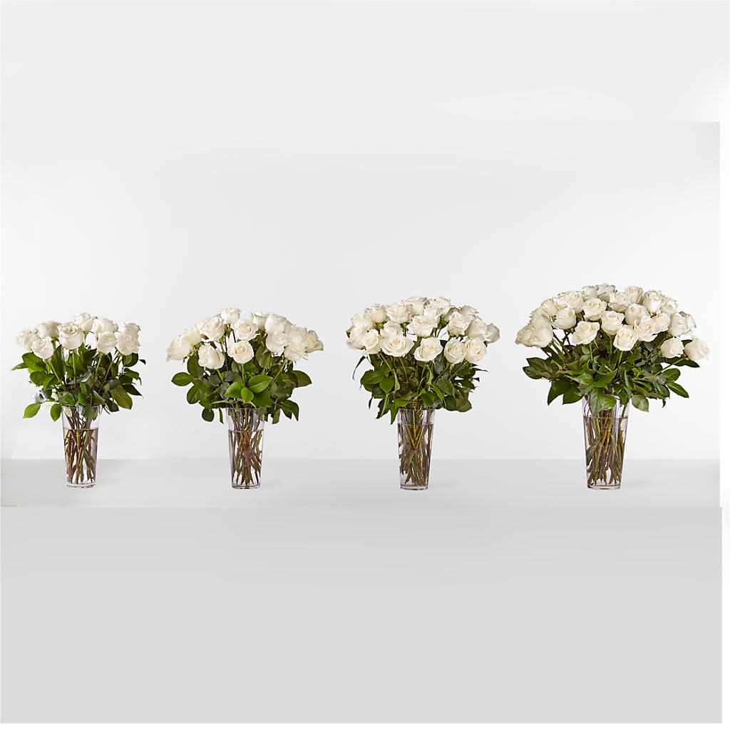 Long Stem White Rose Bouquet –  Olive Branch Flowers, Chittenango NY