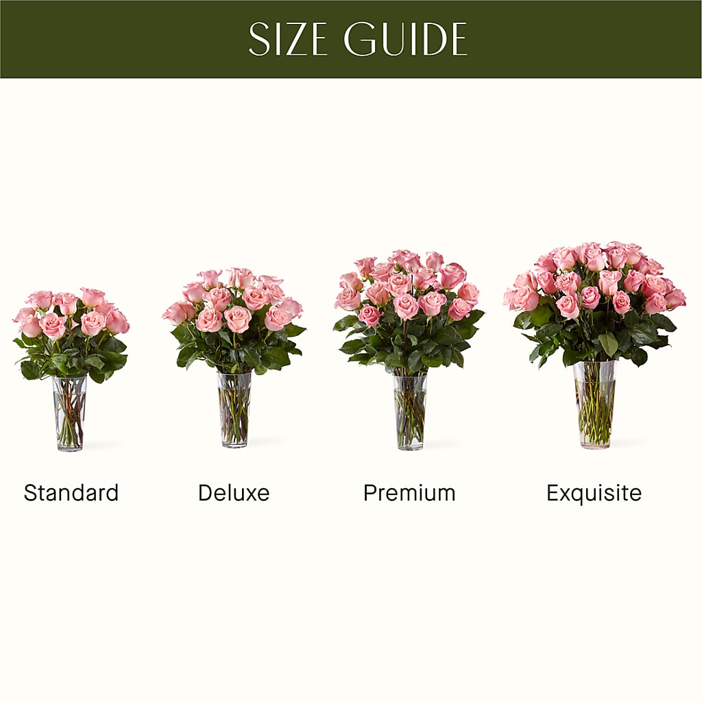 Long Stem Pink Rose Bouquet –  Olive Branch Flowers, Chittenango NY