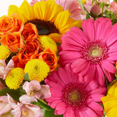 Olive Branch Flowers