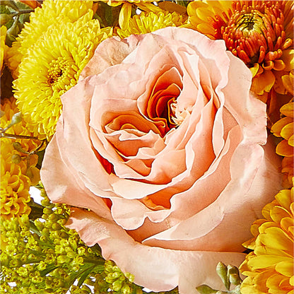 Peachy Pumpkin –  Olive Branch Flowers, Chittenango NY