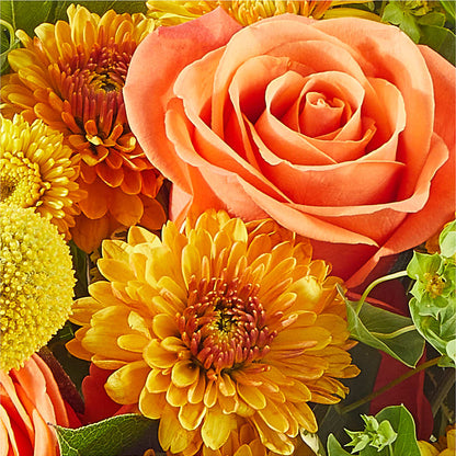 Gourdgeous Pumpkin –  Olive Branch Flowers, Chittenango NY