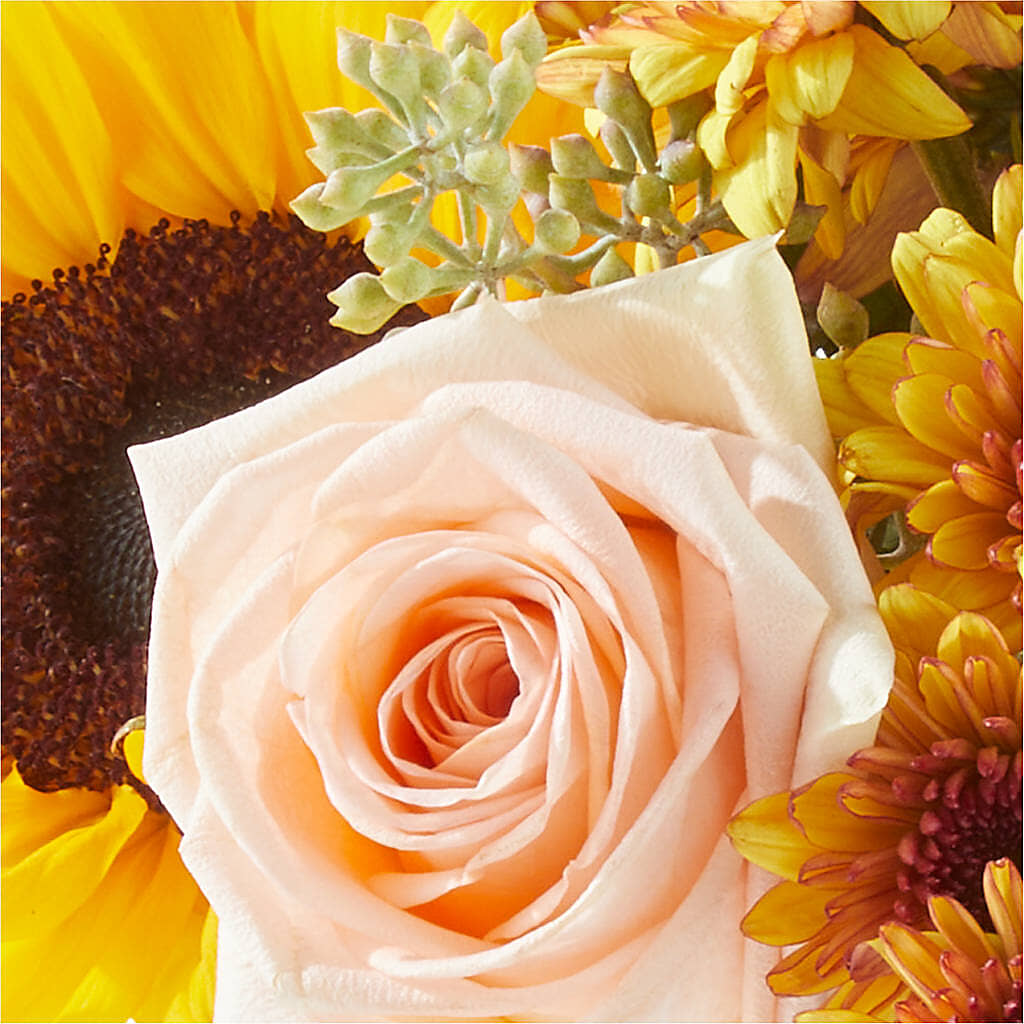 Pumpkin to Talk About Bouquet –  Olive Branch Flowers, Chittenango NY