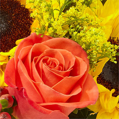 Pick of the Patch Pumpkin Bouquet –  Olive Branch Flowers, Chittenango NY