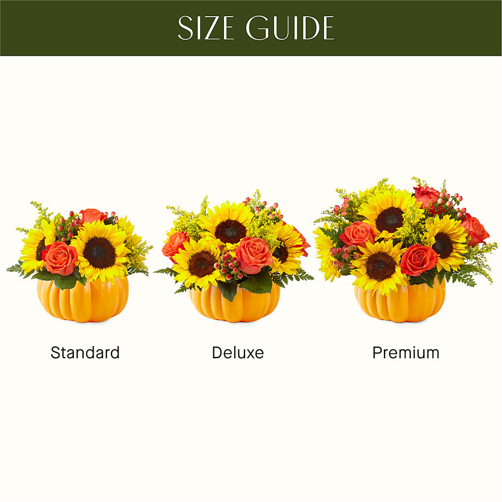 Pick of the Patch Pumpkin Bouquet –  Olive Branch Flowers, Chittenango NY