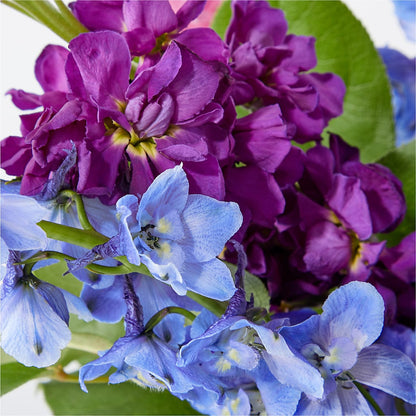 Twilight Glow Bouquet –  Olive Branch Flowers, Chittenango NY