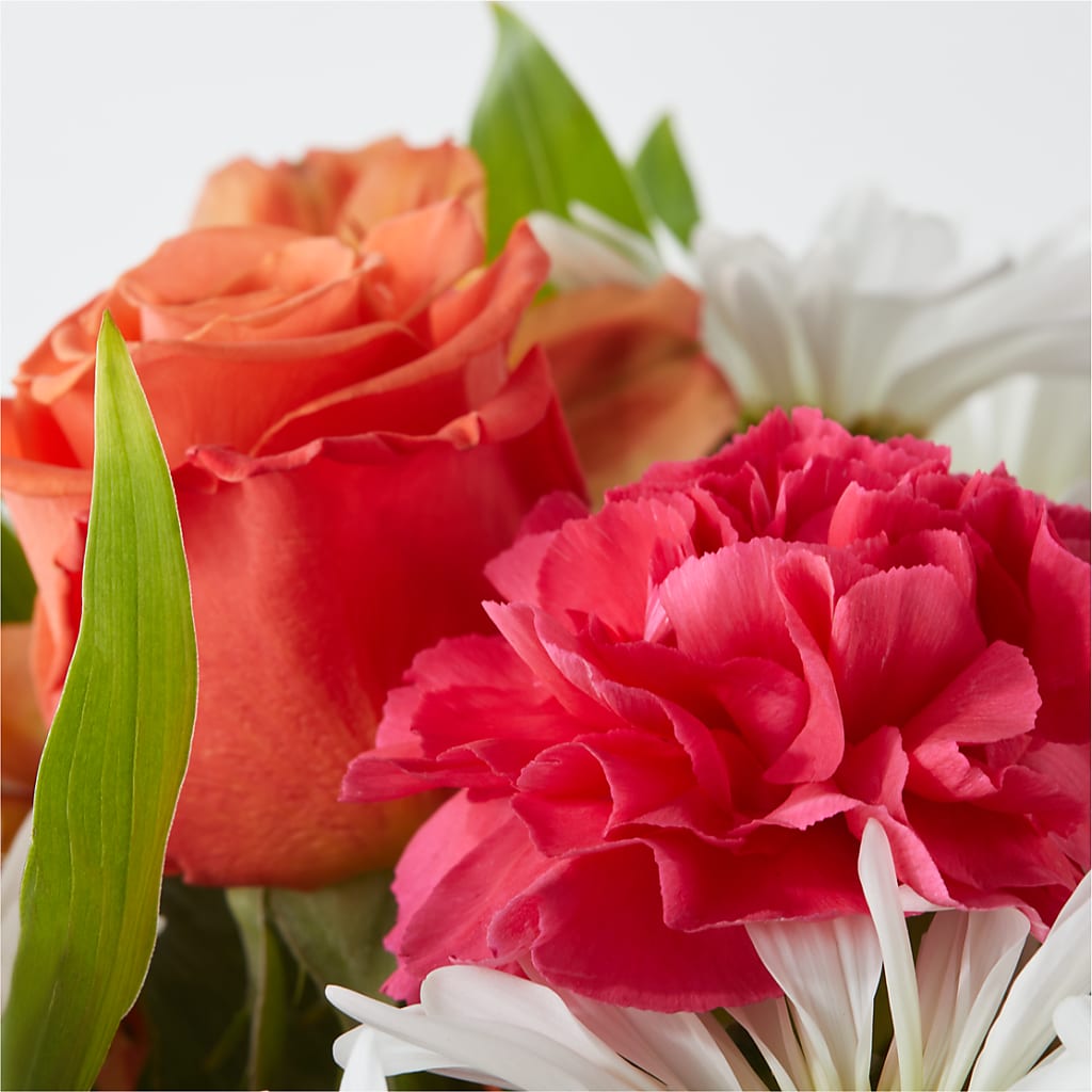 Oopsie Daisy Bouquet –  Olive Branch Flowers, Chittenango NY