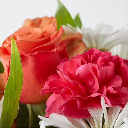 Oopsie Daisy Bouquet –  Olive Branch Flowers, Chittenango NY