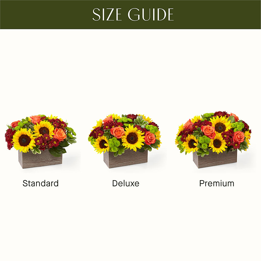 Happy Harvest Garden –  Olive Branch Flowers, Chittenango NY