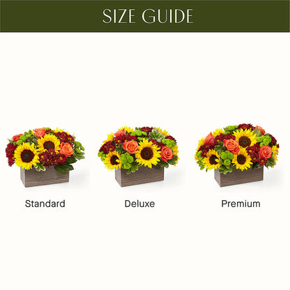 Happy Harvest Garden –  Olive Branch Flowers, Chittenango NY