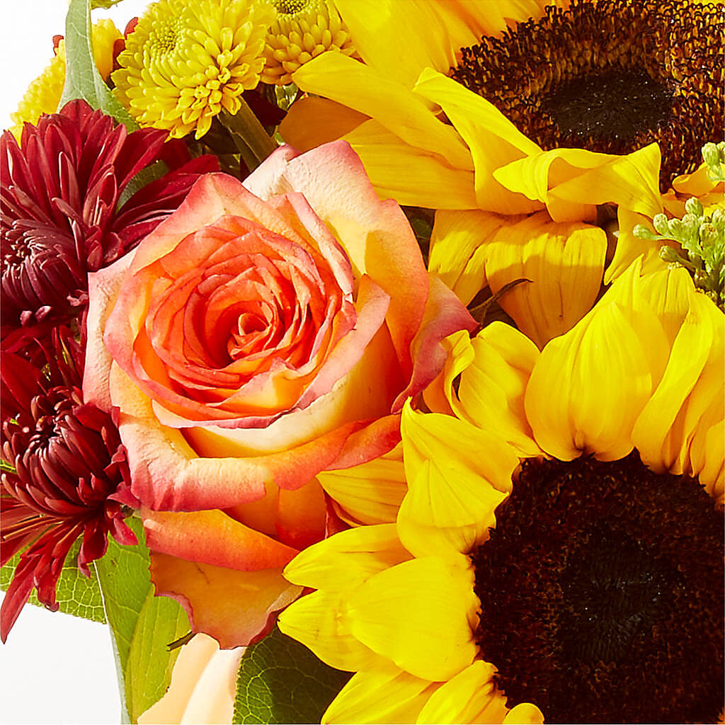 Golden Gourd Pumpkin Bouquet –  Olive Branch Flowers, Chittenango NY