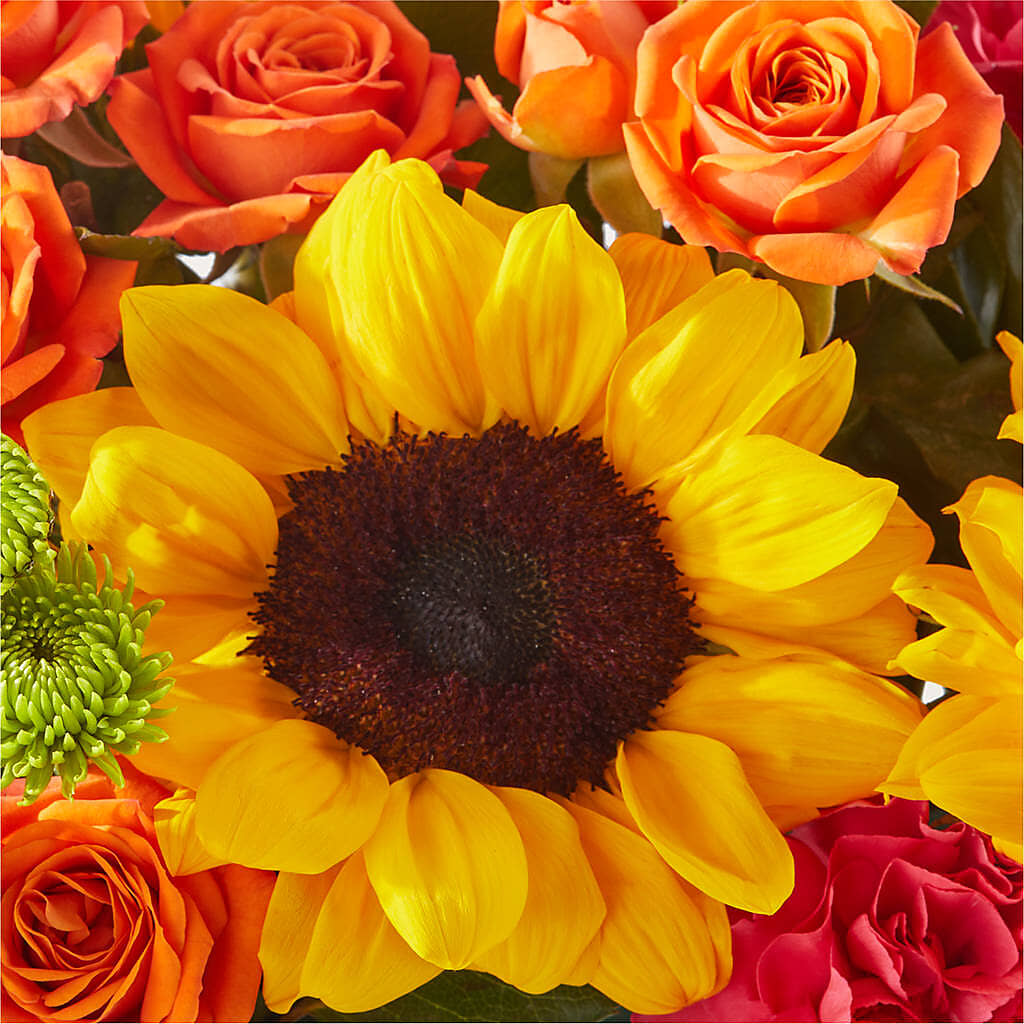 Sun-drenched Blooms Box Bouquet –  Olive Branch Flowers, Chittenango NY