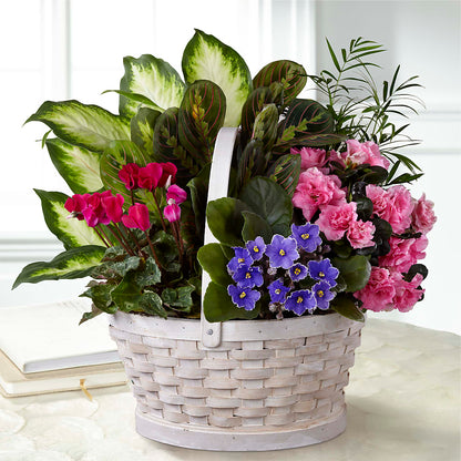 Peaceful Garden Planter –  Olive Branch Flowers, Chittenango NY