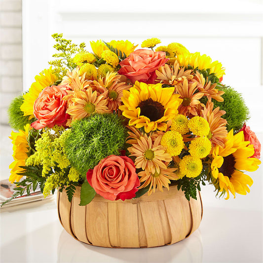 Harvest Sunflower Basket –  Olive Branch Flowers, Chittenango NY