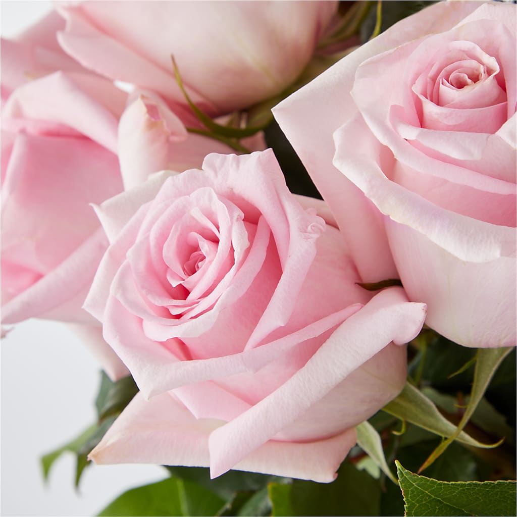 Picture Perfect Pink Rose Bouquet –  Olive Branch Flowers, Chittenango NY