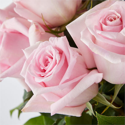 Picture Perfect Pink Rose Bouquet –  Olive Branch Flowers, Chittenango NY
