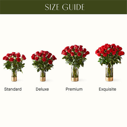 Classic Love Red Rose Bouquet –  Olive Branch Flowers, Chittenango NY