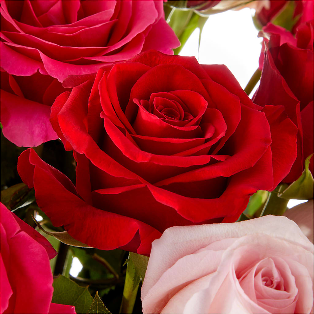 Love Notes Rose Bouquet –  Olive Branch Flowers, Chittenango NY